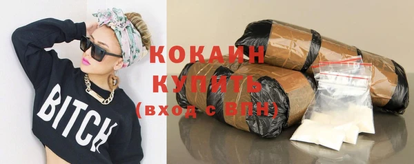 молекула духа Михайлов