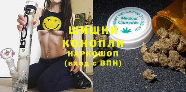 молекула духа Михайлов